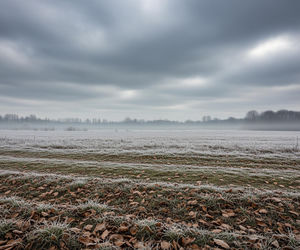 Szokująca pogoda w Ostródzie 19.11.2025. Czy to już zima?