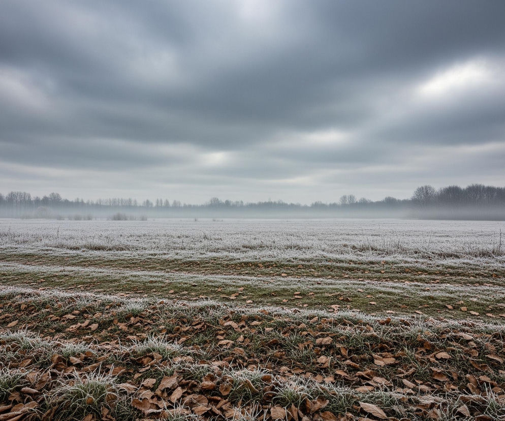 Pochmurne niebo z szarymi, rozciągniętymi chmurami zajmuje górną połowę obrazu, z jaśniejszymi smugami światła widocznymi w prawej i lewej części nieboskłonu. Poniżej rozciąga się szerokie, pokryte szronem pole, którego pierwszy plan to mieszanka suchych, brązowych liści i zielonej trawy, również oprószonej białym szronem. Horyzont wyznacza ciemny pas nagich drzew, zanurzonych w lekkiej, zimowej mgle, która unosi się nad dalszą częścią zaśnieżonego pola.