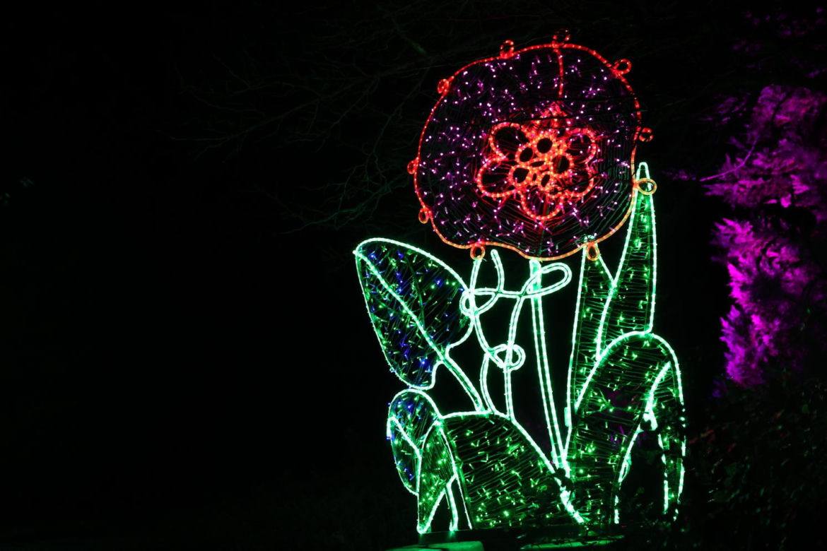 Lumina Park 2023 w Lublinie
