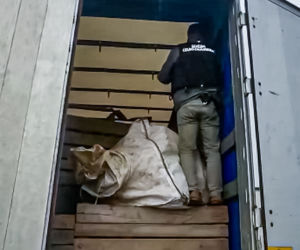 Ponad 20 mln sztuk lewych papierosów nie trafi na rynek