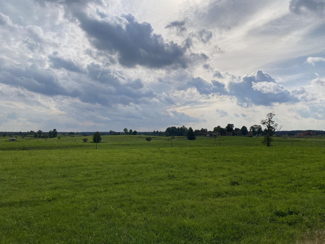 Bitwa o Polanę Ukciańską nad Krutynią