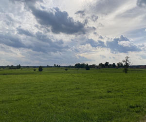 Bitwa o Polanę Ukciańską nad Krutynią