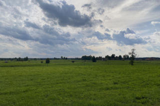 Bitwa o Polanę Ukciańską nad Krutynią