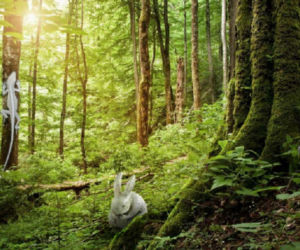 Tak będzie wyglądał Ogród Botaniczny Marszewo po zmianach