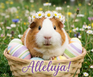 Mądre kartki wielkanocne 2026. Obrazki z refleksyjnymi życzeniami