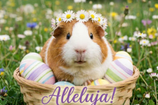 Mądre kartki wielkanocne 2026. Obrazki z refleksyjnymi życzeniami