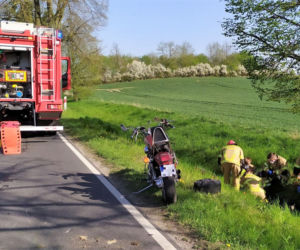 Wiosna w pełni, zwierzęta często przebiegają przez ulice. Policja apeluje o ostrożność!
