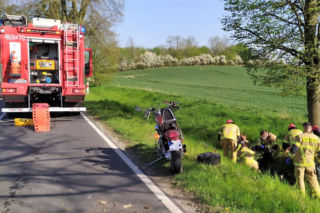 Wiosna w pełni, zwierzęta często przebiegają przez ulice. Policja apeluje o ostrożność!