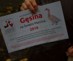 Gęsi odleciały na toruńskie stoły [AUDIO GALERIA]