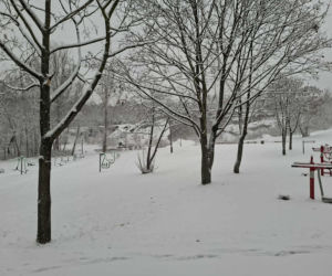 Atak zimy w Świętokrzyskiem. Śnieg i trudne warunki drogowe 23 Listopada 2025