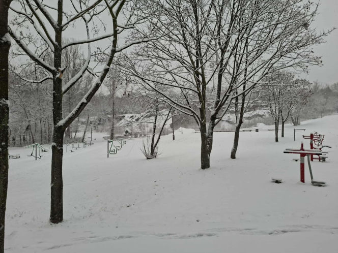 Atak zimy w Świętokrzyskiem. Śnieg i trudne warunki drogowe 23 Listopada 2025