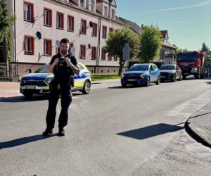 Eskorta dla kaczek