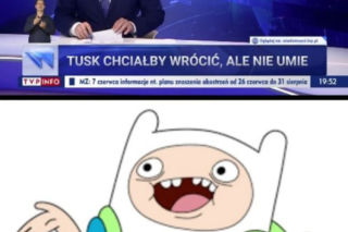 Donald Tusk wrócił do polskiej polityki. Internet OSZALAŁ, zobacz najlepsze memy!