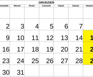 Niedziele handlowe 2019 - GRUDZIEŃ