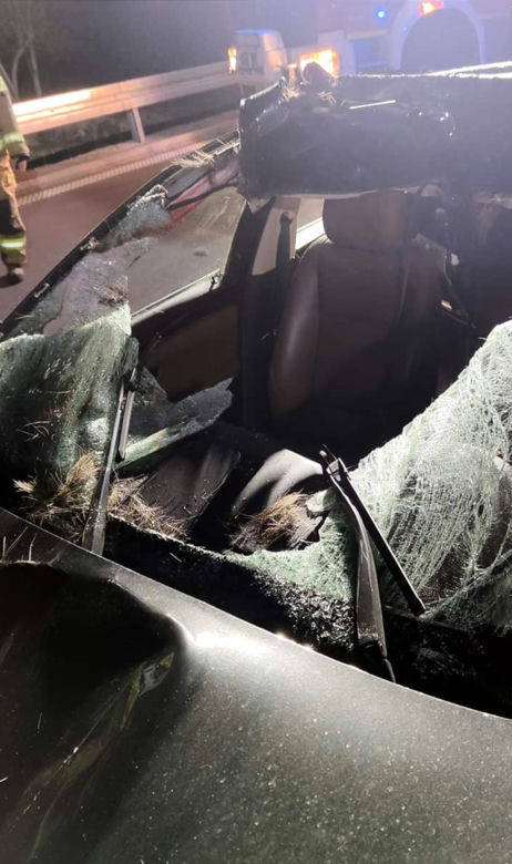 Zderzenie bmw z łosiem w miejscowości Markowszczyzna