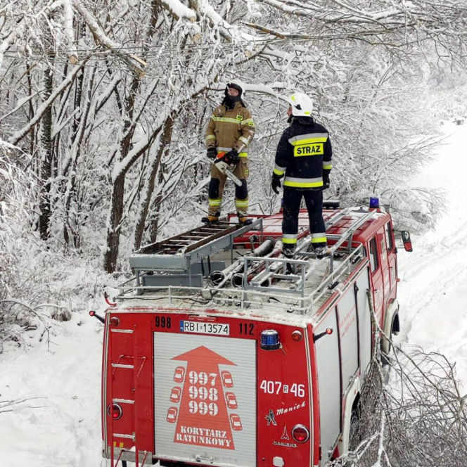 Atak zimy na Podkarpaciu: Tysiące domów bez prądu! Strażacy interweniowali setki razy, śnieg paraliżuje region