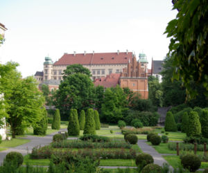Ogród