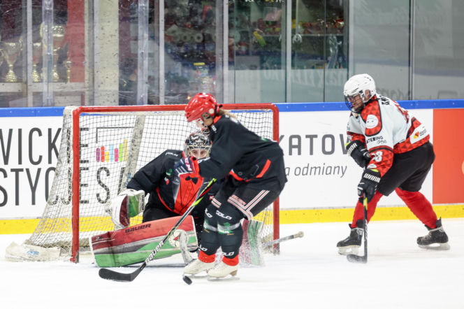 Mecz hokejowy Reprezentacji Artystów Polskich i Przedsiębiorców