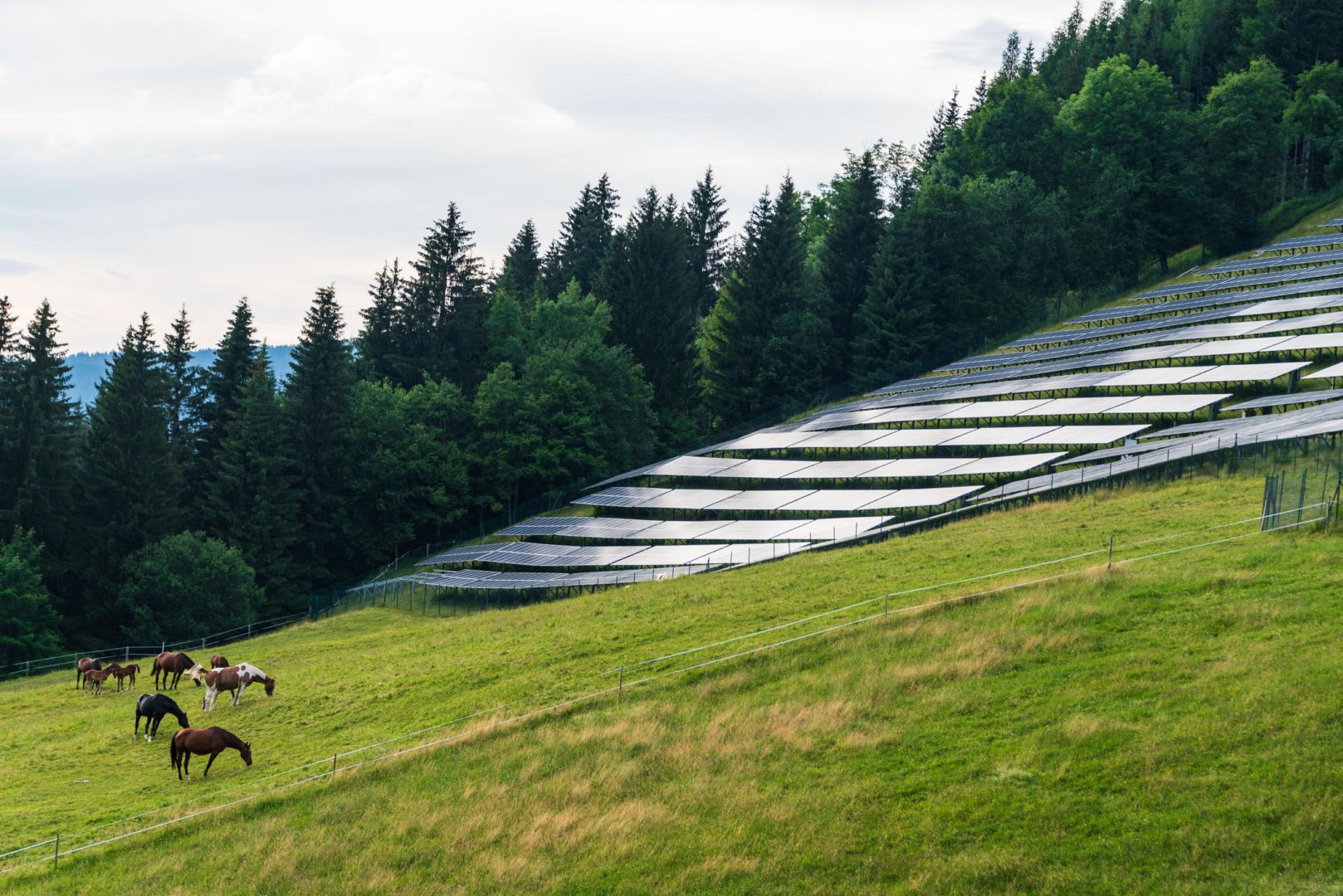 Park fotowoltaiczny, łąka, pastwisko i pasące się konie na tle alpejskich gór - stock photo