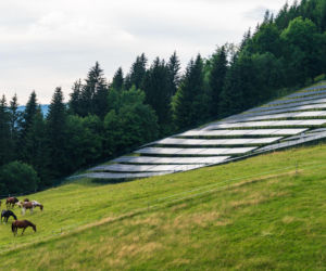 Czarne morza fotowoltaiki stopniowo zalewają wsie