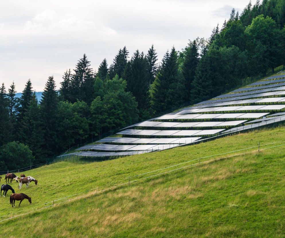Park fotowoltaiczny, łąka, pastwisko i pasące się konie na tle alpejskich gór - stock photo