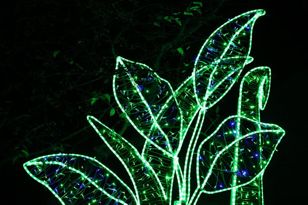 Park iluminacji 2023 w Lublinie