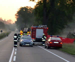 Śmiertelny wypadek w BMW. Samochód wydzwonił czołowo w drzewo