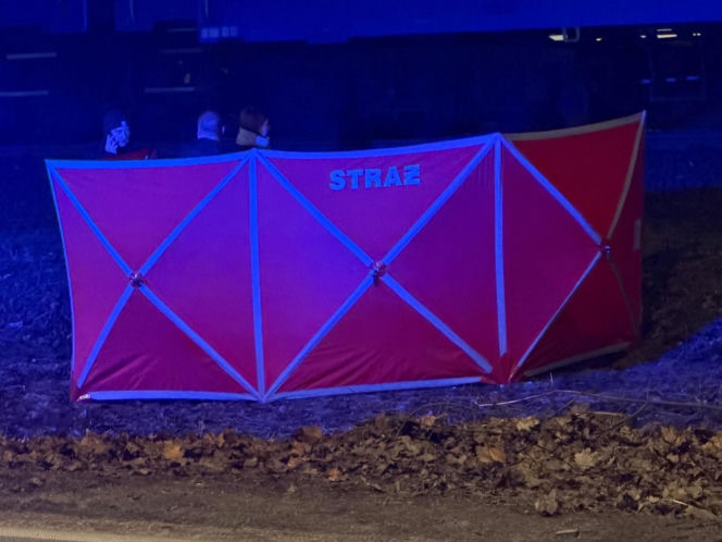 Kolejna śmierć na linii otwockiej. 24-latek zginął pod kołami pociągu