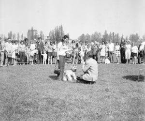 Wystawa psów na stadionie w Łodzi w maju 1972 roku