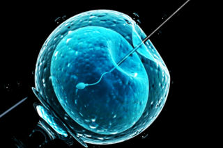 Nieudane in vitro. Ile razy można podchodzić do zapłodnienia in vitro? 