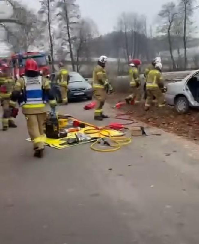 Wypadek pod Iławą. Mitsubishi roztrzaskało się na drzewie! Pięć osób rannych, w tym jedna walczy o życie