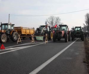 W Polsce nie da się żyć ze świni