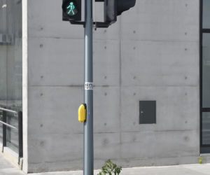 Pomidorek wyrósł w metrze