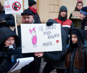Lublin: Protest w obronie dzików. „Nie dla myśliwych”