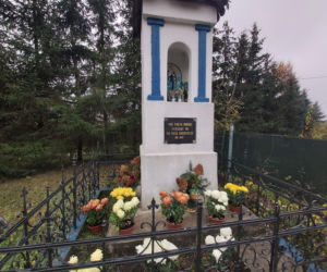 Wyjątkowo kolorowa jesień w Gminie Iława. Wszędzie chryzantemny!