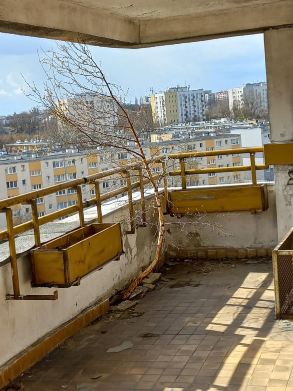 Szpiegowo. To Rosjanie ukrywali w centrum Warszawy