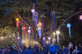 Iluminacje 2023 w Szczecinie. Miasto rozbłyśnie kolorami! Gdzie będzie można zobaczyć Iluminacje 2023?