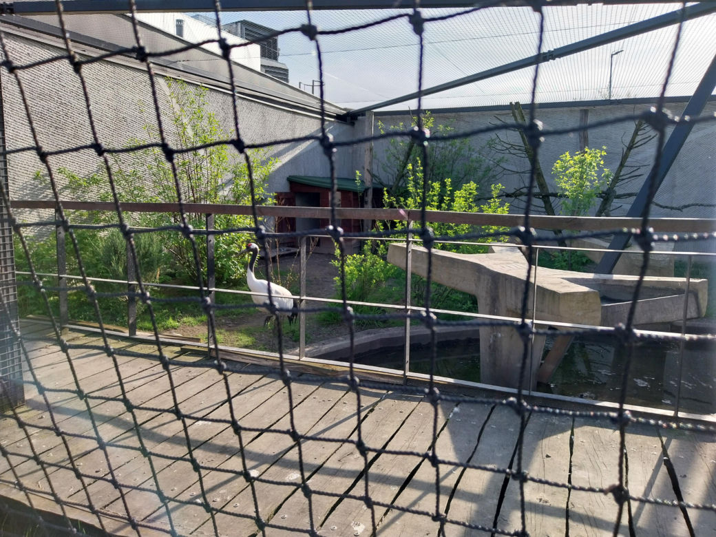 Wiosenny spacer w zamojskim zoo