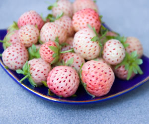 Pineberry