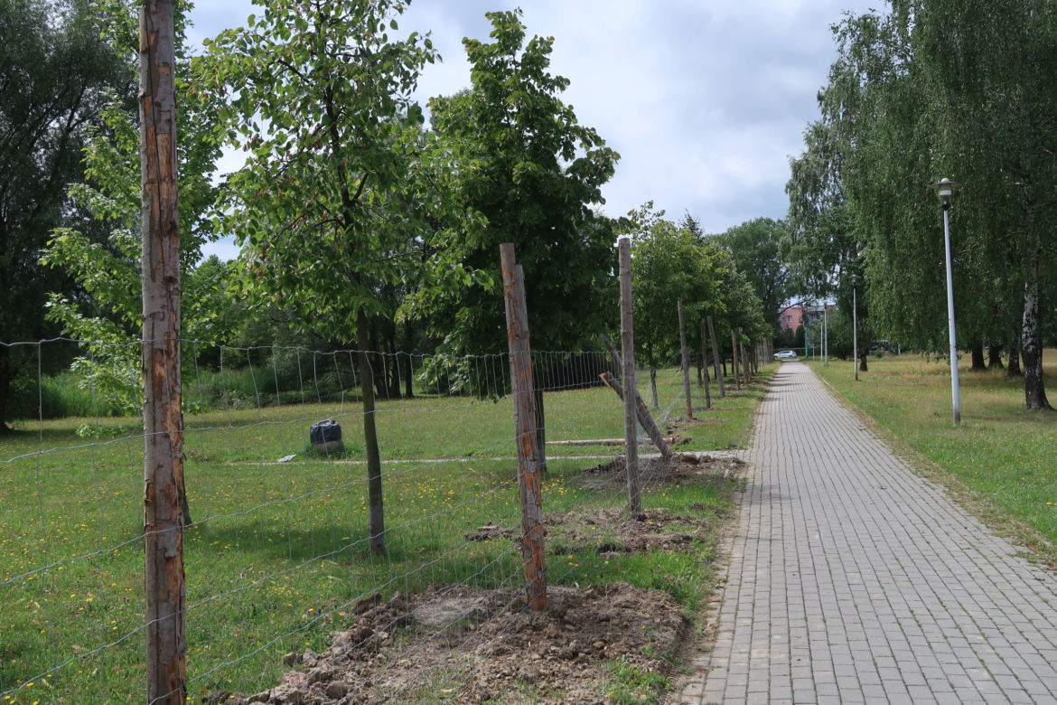 Park Jaworek w Tychach zamienił się w wielki plac budowy [ZDJĘCIA]
