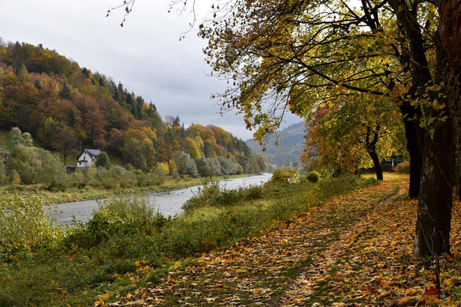 Małopolska wieś, która zachwyciła filmowców. Jesienią można poczuć się jak na planie