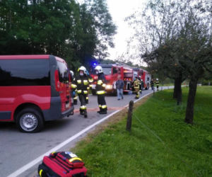 Kicznia. Uderzył samochodem w budynek. Wszystko przez dzikie zwierzę