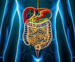Witamina B1 a rytm pracy jelit. Zaskakujące wyniki międzynarodowego badania