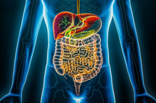 Nowe odkrycie w badaniach nad jelitami. Ta jedna witamina może być kluczem do regularnych wypróżnień