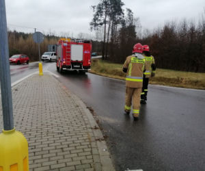 Koszmarny wypadek pod Solcem nad Wisłą! Nie żyje pasażer opla, 44-latkę zabrała karetka [ZDJĘCIA]