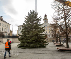 Gorlice: Na rynku już stoi choinka. Jest piękna. MUSISZ ją zobaczyć