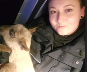 Funkcjonariuszka wzięła owcę na ręce i zabrała ją do samochodu. Zwierze było wyziębione