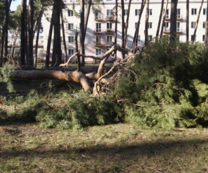 Niszczycielska wichura w Bydgoszczy [ZDJĘCIA]