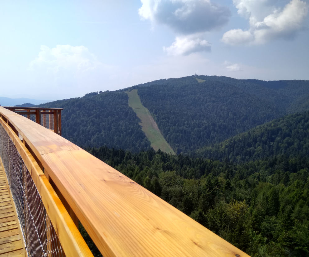Wieża widokowa Słotwiny - Krynica