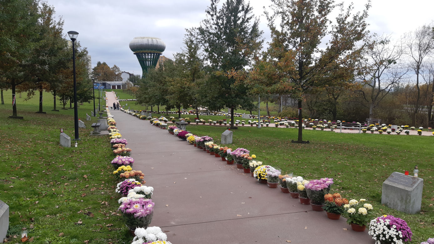 Dwa tysiące chryzantem ozdobiło park w Tarnowie